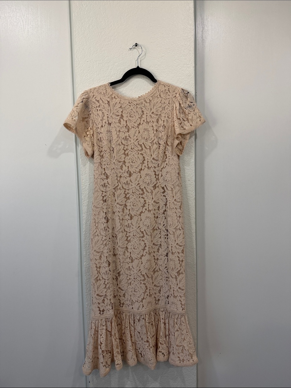 Rachel Parcell Blush Lace Midi Dress with Ruffle Hem